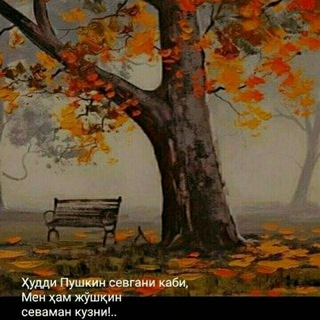 Telegram profile photo for Mutolaa zavqi