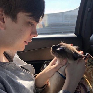 Telegram profile photo for марсик лерундский