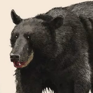 Telegram profile photo for всякое