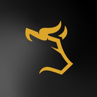 Telegram group profile photo for Combat Capital Group
