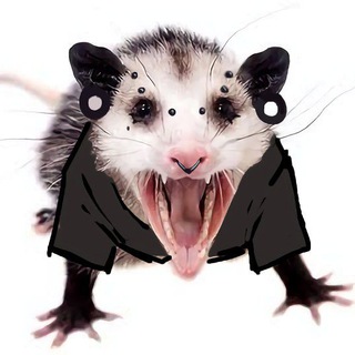 Telegram profile photo for °PehcenStalina°