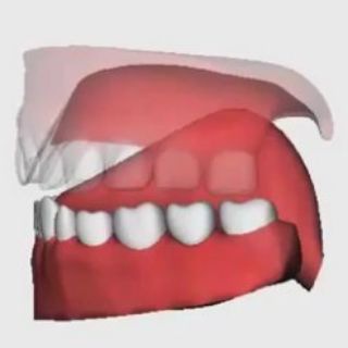 Telegram profile photo for مخارج الحروف ثلاثي الأبعاد