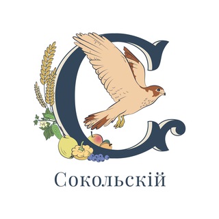 Telegram profile photo for Сокольский