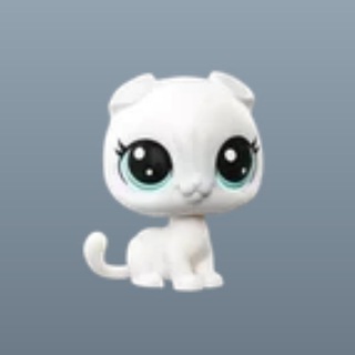 Telegram profile photo for : `` W𝗫W 𝖻𝗋𝖺𝗇𝖽 forever in your hearts