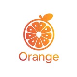 Telegram profile photo for 桔子导航|中文频道|新人指南
