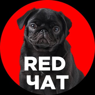Telegram group profile photo for Чат Кудряшова Дмитрия