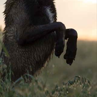 Telegram profile photo for Photographer N.P.