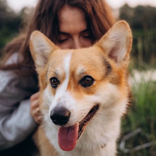 Telegram profile photo for Лиза о Буме