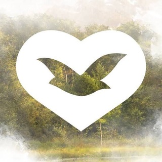 Telegram profile photo for Canciones IURD