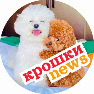 Telegram profile photo for Крошки news