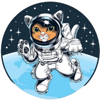 Telegram group profile photo for SPACECAT 太空猫中文社区 🇨🇳 🇨🇳