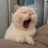 Telegram profile photo for переезд || библиотека рэй 🧺