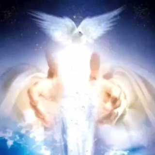 Telegram profile photo for Heilerin 𝔚𝔥𝔦𝔱𝔢 𝔅𝔦𝔯𝔡 🦢 Heil-Meditations-Coachin 🌍💜✨ Board of Angels 👼