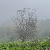 Telegram profile photo for تیکه های زندگی