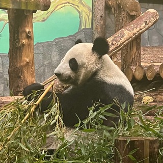 Telegram profile photo for Это логично