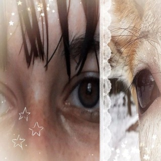 Telegram profile photo for эня _(´ཀ`」