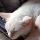 Telegram profile photo for Entry - F