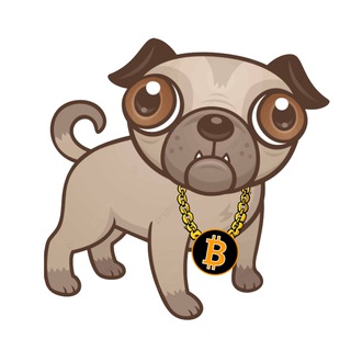 Telegram group profile photo for Puggle