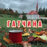 Telegram profile photo for Гатчина