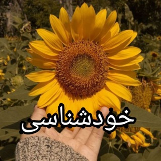 Telegram profile photo for خودشناسی🌻