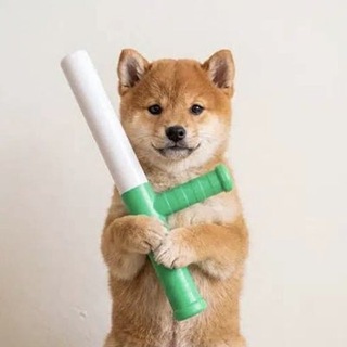 Telegram profile photo for baton