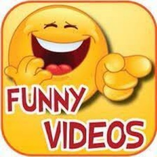 Telegram profile photo for Funny Videos (TimeBucks.com)