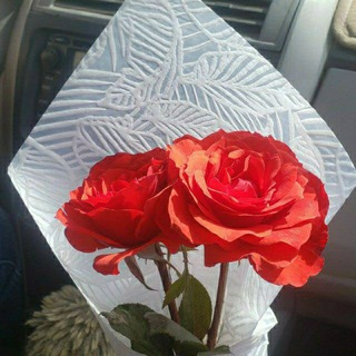 Telegram profile photo for ♥️مملكه الحب♥️ والرومنسيه♥️