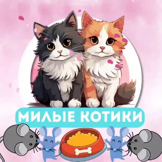 Telegram profile photo for Милые котики