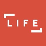 Telegram profile photo for ГЛОБУС ГРУПП | LIFE