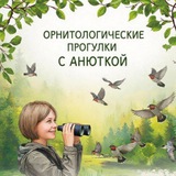 Telegram profile photo for Улётный канал.