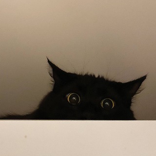 Telegram profile photo for принт с препятствиями
