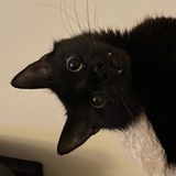Telegram profile photo for jellysoup
