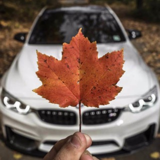 Telegram profile photo for Авторынок перекупы МОСКВА ЧАТ