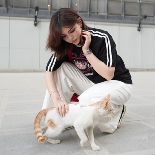 Telegram profile photo for میو🐱ت 🔇