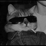 Telegram profile photo for Моменты тик тока😎