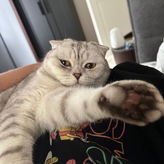 Telegram group profile photo for Закладки брошек в чаче Фиугви