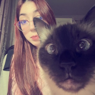 Telegram profile photo for i love cats