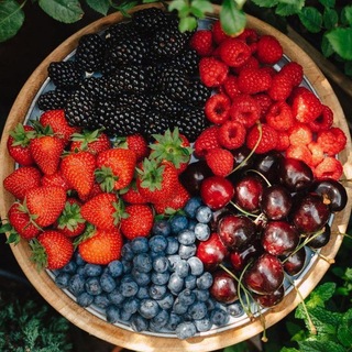 Telegram profile photo for Ягоды「ⲥⲟⲛғⲉssⲓⲟⲛ」🍒