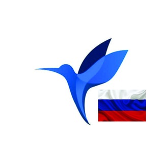 Telegram profile photo for Колибри | Скальперская Программа