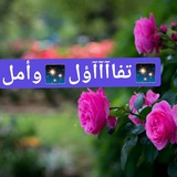 Telegram profile photo for ✨✨تفاآآآآؤل✨وأمل✨✨