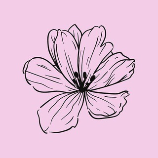 Telegram profile photo for DICAS DA VIRTUOSA - Achadinhos
