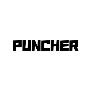 Telegram profile photo for PUNCHER HIGHLIGHTS