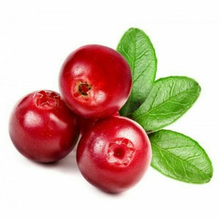 Telegram group profile photo for The Fairy Berry🍒