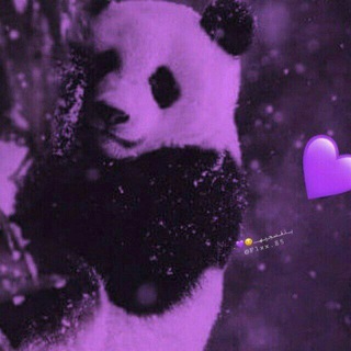 Telegram profile photo for باندا 🐼💜
