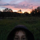 Telegram profile photo for mxmk
