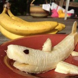 Telegram profile photo for 🍌Банановый керпич🍌