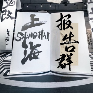 Telegram profile photo for 上海《沪爷》出击报告