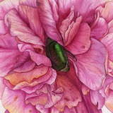 Telegram profile photo for Botanicolors