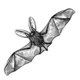 Telegram profile photo for Страшно понятный трафик