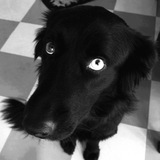Telegram profile photo for ПЕРЕХОДНИК